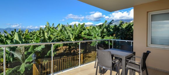 3-salle Appartement à Kargicak, Turkey No. 18348 12