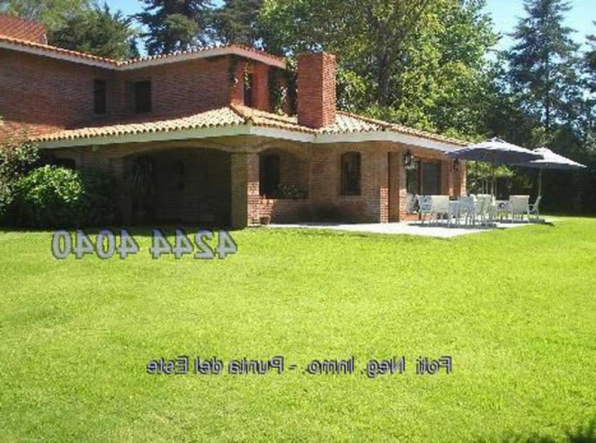 5 bedrooms House in Punta del Este, Uruguay No. 9132