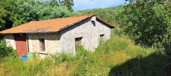 10غرفة منزل في Vicchio, Italy رقم 160962 7