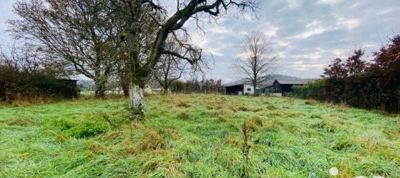 Земельный участок 1085м² в Балле, Франция № 44543 6