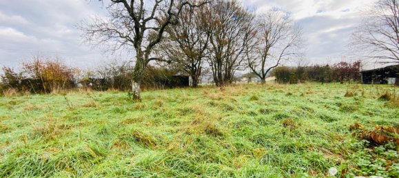 Земельный участок 1085м² в Балле, Франция № 44543 5