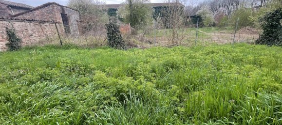 5 rooms Building in Gualtieri, Italy No. 38798 15