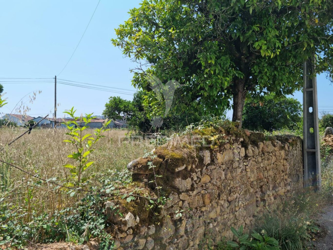 8700m² Land in Coimbra, Portugal No. 144427