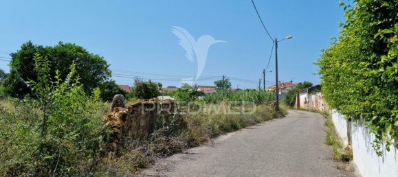 8700m² Land in Coimbra, Portugal No. 144427 7