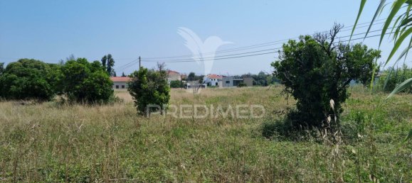 8700m² Land in Coimbra, Portugal No. 144427 3