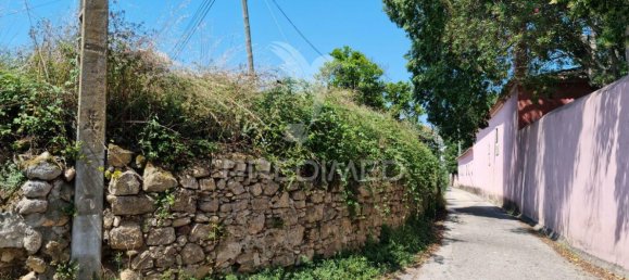 8700m² Land in Coimbra, Portugal No. 144427 10