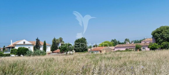 8700m² Land in Coimbra, Portugal No. 144427 4