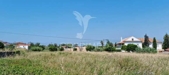 8700m² Land in Coimbra, Portugal No. 144427 5