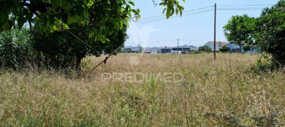 8700m² Land in Coimbra, Portugal No. 144427 12