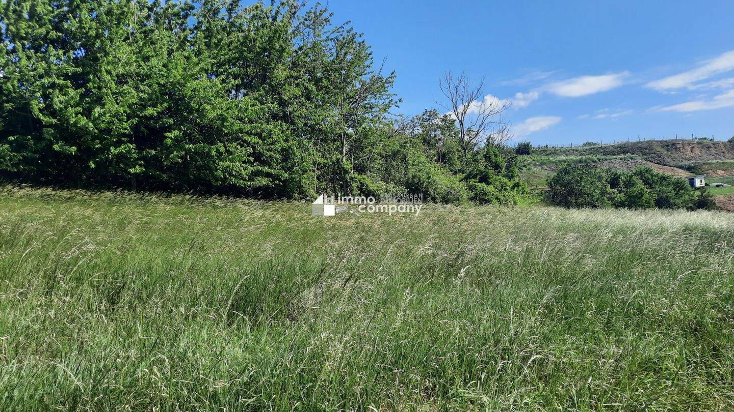4392m² Land in Sitzenberg-Reidling, Austria No. 13678