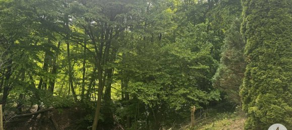 Land in Penzing, Austria No. 88204 4