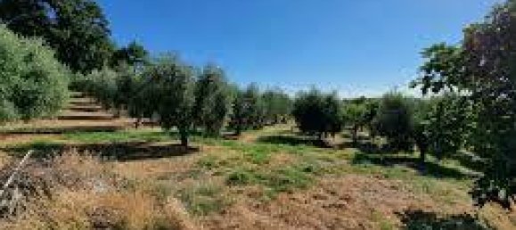 1000m² Land in Polpenazze del Garda, Italy No. 71756 4