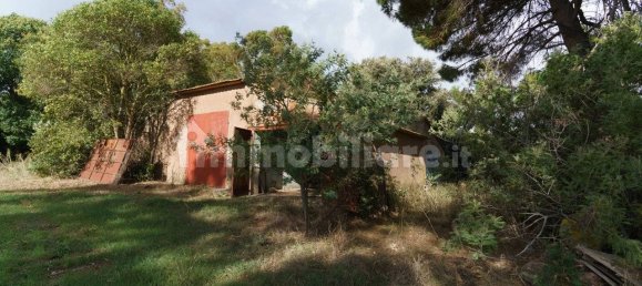 3 bedrooms House in Magliano in Toscana, Italy No. 167826 16