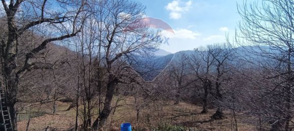 Дом с 2 спальнями в Бормида, Италия № 56555 15