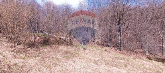 Дом с 2 спальнями в Бормида, Италия № 56555 4