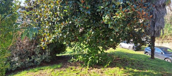 4 Schlafzimmer Villa in Borgo Ticino, Italy, Nr. 149700 3