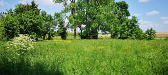 6 Schlafzimmer Haus in Courant, France, Nr. 100892 7