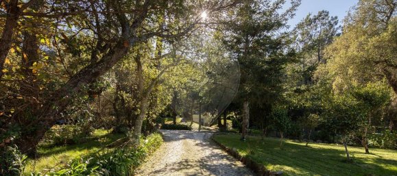 1 غرف نوم منزل في Sintra, Portugal رقم 50337 7