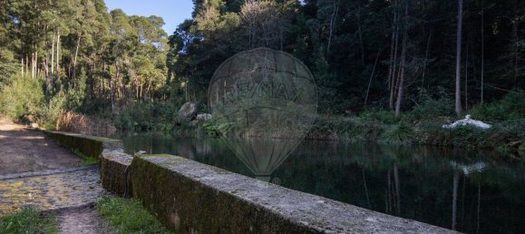 1 غرف نوم منزل في Sintra, Portugal رقم 50337 13
