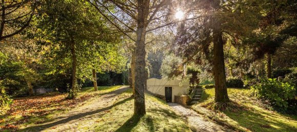 1 غرف نوم منزل في Sintra, Portugal رقم 50337 10