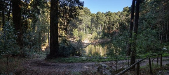 1 غرف نوم منزل في Sintra, Portugal رقم 50337 12