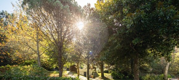 1 غرف نوم منزل في Sintra, Portugal رقم 50337 8