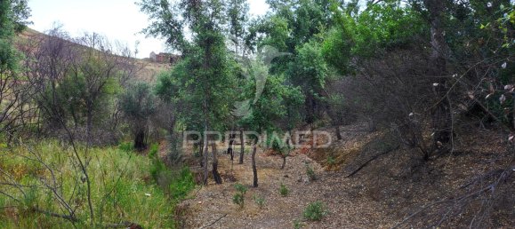 6 bedrooms House in Saboia, Portugal No. 31335 20