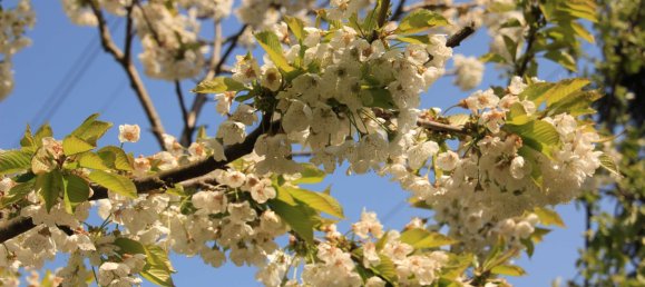 2 غرف نوم تاون هاوس في Bielefeld, Germany رقم 348521 24