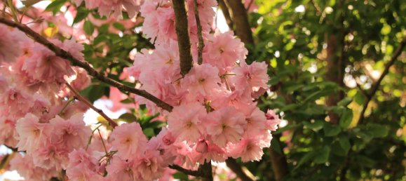 2 غرف نوم تاون هاوس في Bielefeld, Germany رقم 348521 22