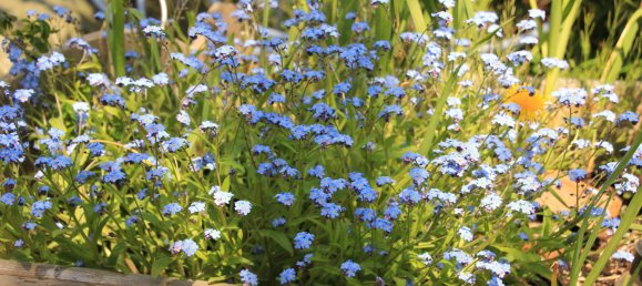 2 غرف نوم تاون هاوس في Bielefeld, Germany رقم 348521 23