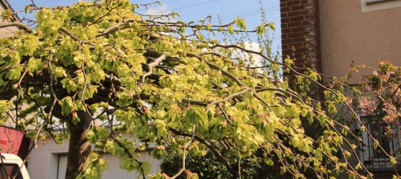 2 غرف نوم تاون هاوس في Bielefeld, Germany رقم 348521 25