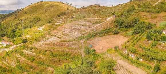 3 bedrooms House in Baiao, Portugal No. 26939 33