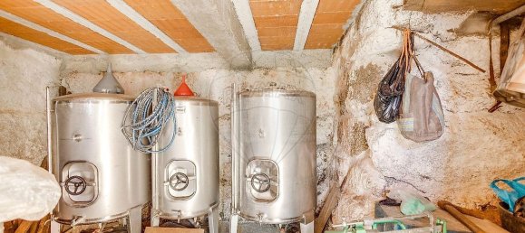 3 bedrooms House in Baiao, Portugal No. 26939 37