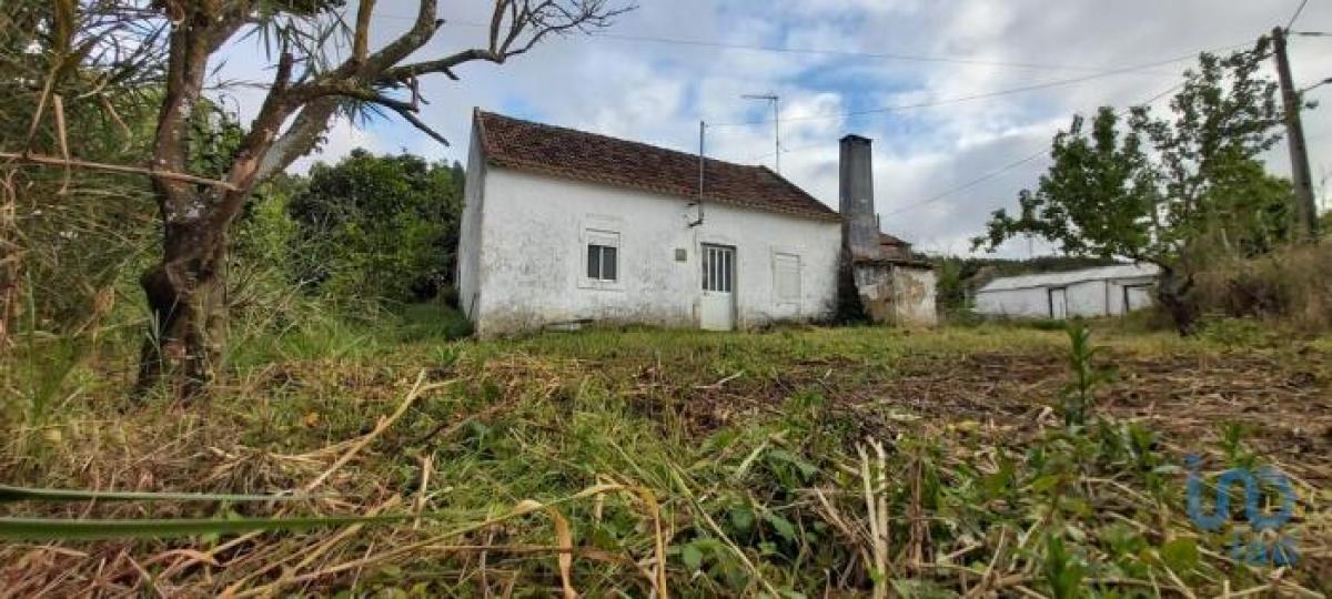 2 bedrooms House in Caldas da Rainha, Portugal No. 3183
