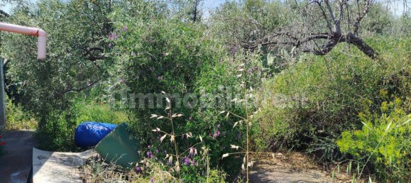 4000m² Land in Adrano, Italy No. 298164 3