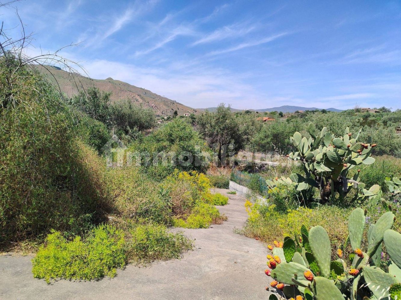 4000m² Land in Adrano, Italy No. 298164