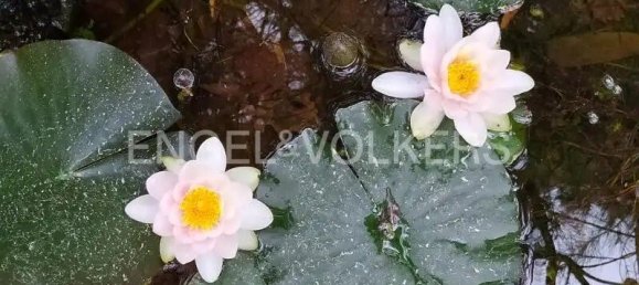 Villa de 4 dormitorios en Pollica, Italy No. 68630 22