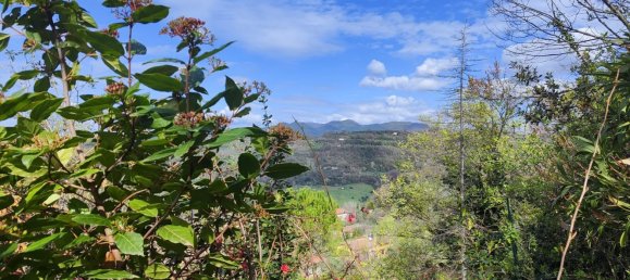 3 rooms Apartment in Toffia, Italy No. 209535 38