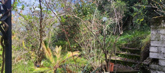 3 rooms Apartment in Toffia, Italy No. 209535 34