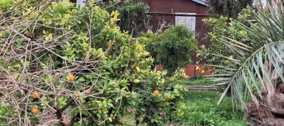 Дом с 1 спальней в Льяно де Брухас, Испания № 27021 2