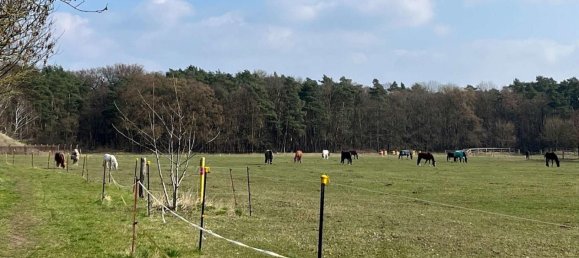 Adosado de 4 habitaciónes en Havelland, Germany No. 110572 11