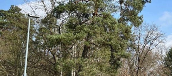Adosado de 4 habitaciónes en Havelland, Germany No. 110572 12