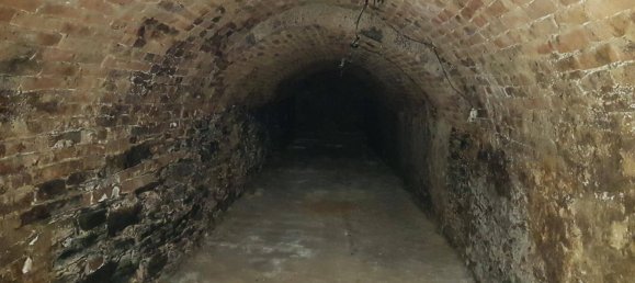 3 rooms Commercial property in Stratzing, Austria No. 188531 7