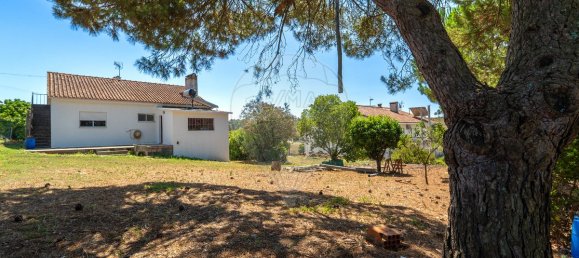 4 Schlafzimmer Haus in Tomar, Portugal, Nr. 21880 10