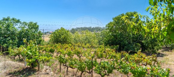 4 Schlafzimmer Haus in Tomar, Portugal, Nr. 21880 26