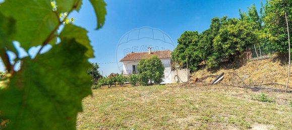 4 Schlafzimmer Haus in Tomar, Portugal, Nr. 21880 25