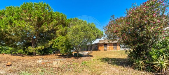 4 Schlafzimmer Haus in Tomar, Portugal, Nr. 21880 7