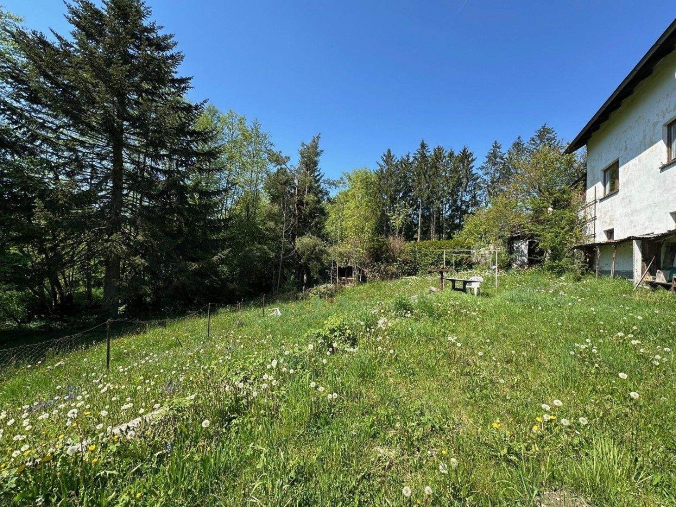 Terrain à Walding, Austria No. 166385