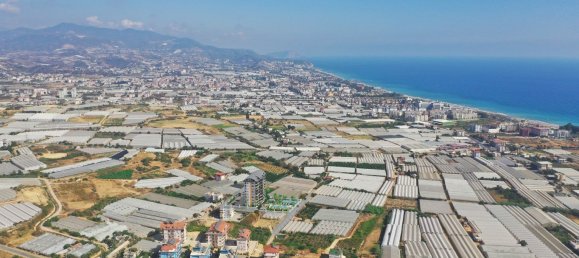 Apartment 1+1 in Alanya, Turkey No. 31920 16