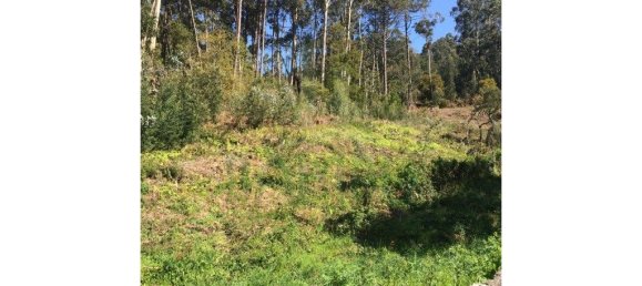 2640m² Land in Caminha, Portugal No. 51979 3